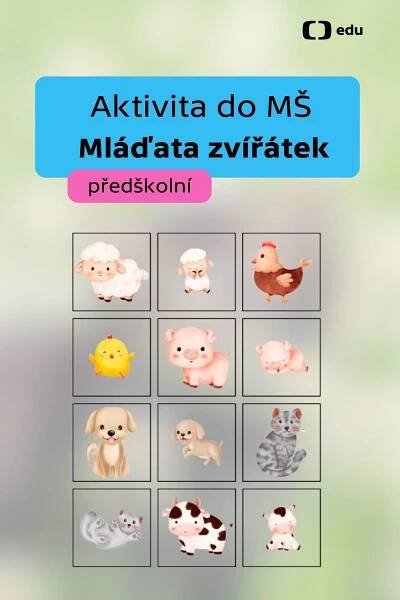 Aktivita do školky: Zvířata a jejich mláďata | Preschool art, Preschool at home, Preschool theme