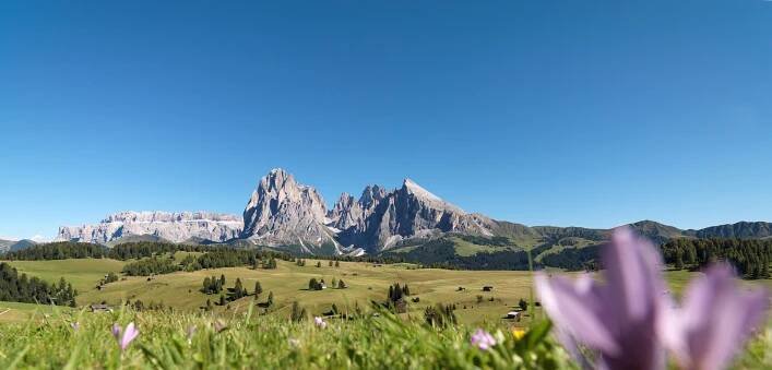 Pastvina Seiser Alm