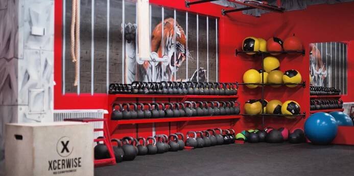 ARENA GYM - Fitness Praha 1 a 5 - funkční trénink, cross, cvičení