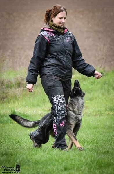 TENEBRIS BOHEMIA - German Shepherd Dog kennel, CHS Tenebris, morpheus anrebri, martina trnkova, GSD, GSD kennel, german