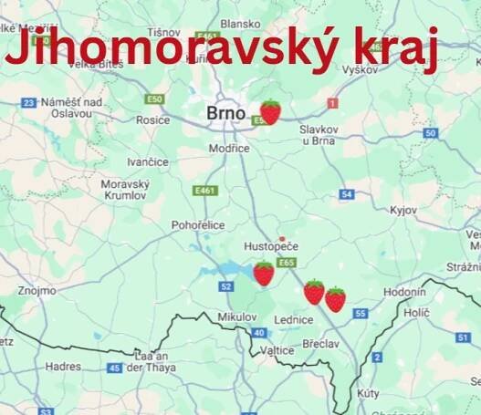 Podívejte se, kam vyrazit na jahody v Jihomoravském kraji - Dřevostavitel.cz