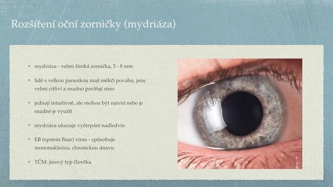 Irisdiagnostika – online video kurz | Taomi