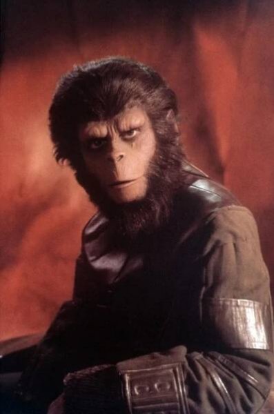Roddy McDowall - Actor, Photographer, Director