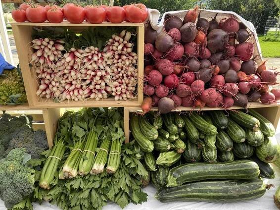 Discover the Market — Foodshed Alliance