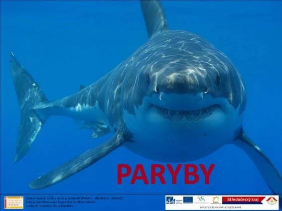 PARYBY