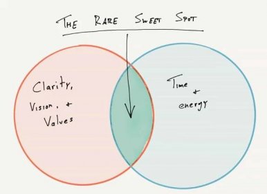 Brené Brown on Values — The Focus Course
