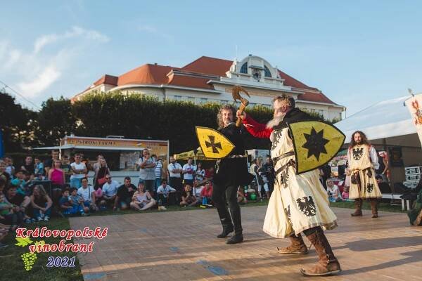 Program :: Královopolské vinobraní