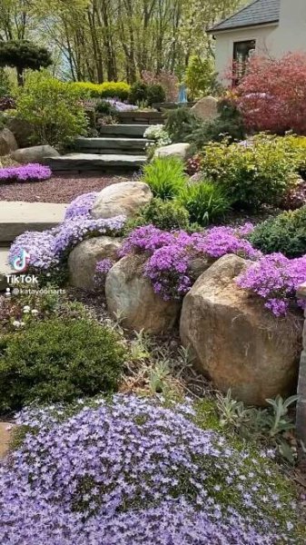 a garden with purple flowers and rocks in the foreground, along with steps leading up to a house