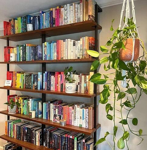 A bookshelf with plants on it