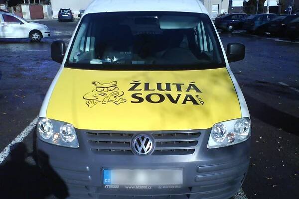 ŽLUTÁ SOVA foto 1