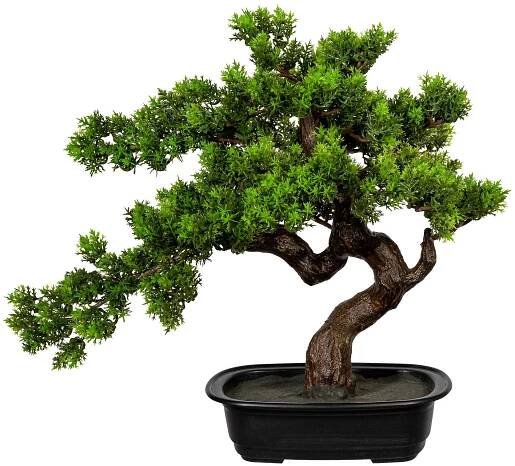 Gasper Bonsaj myrta v misce 40 cm