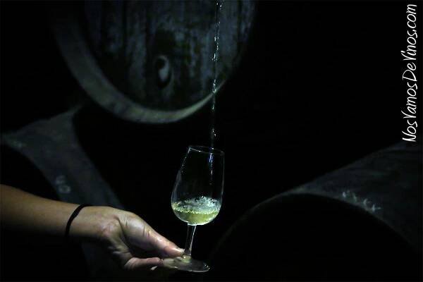 Detalle del fino Tío Pepe venenciado en el interior de la Bodega Constancia.