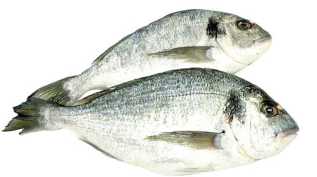 Seabass fillet - Dayseaday