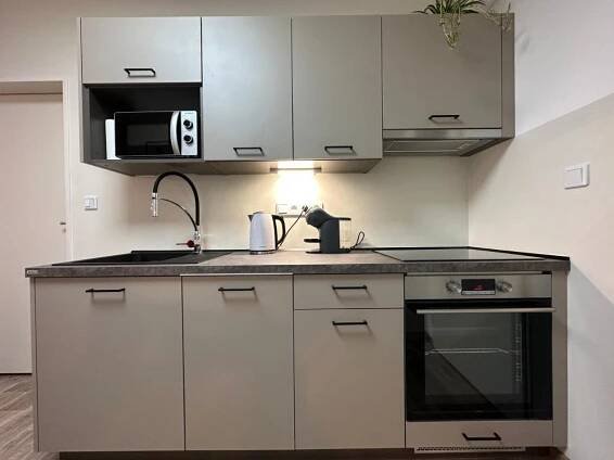 Kuchyň nebo kuchyňský kout v ubytování Morava apartmán Uherské Hradiště Šafaříkova 855