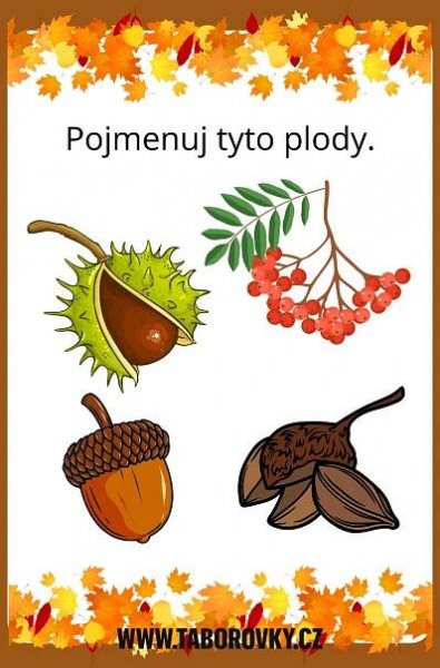 Podzimní úkolové kartičky - Táborovky