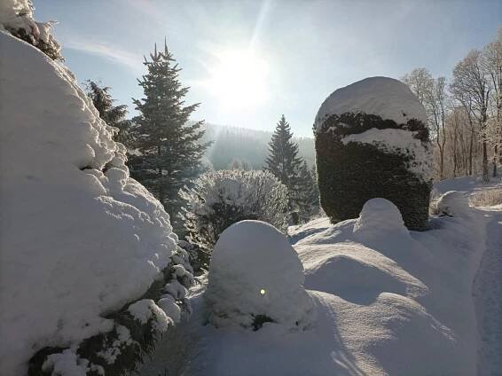 Pension Doro Černý Důl Exteriér fotografie