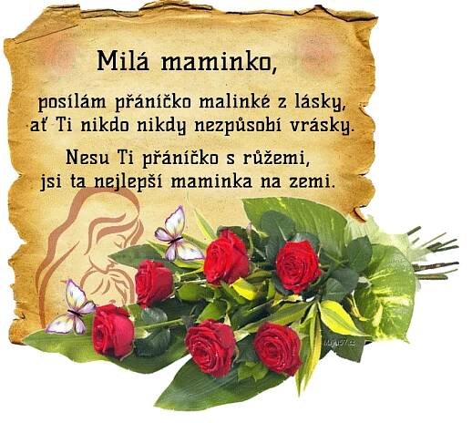 prani_k_svatku_matek_2