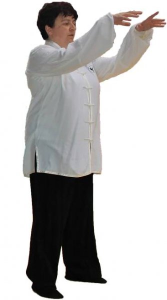 Tai Chi – Dojo Shibumi