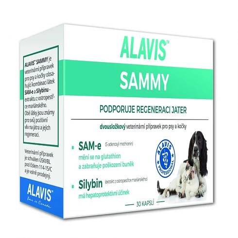 Alavis Sammy 30tbl