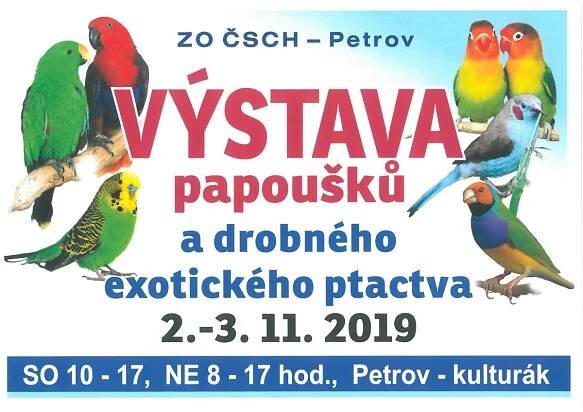 Výstava papoušků a drobného exotického ptactva