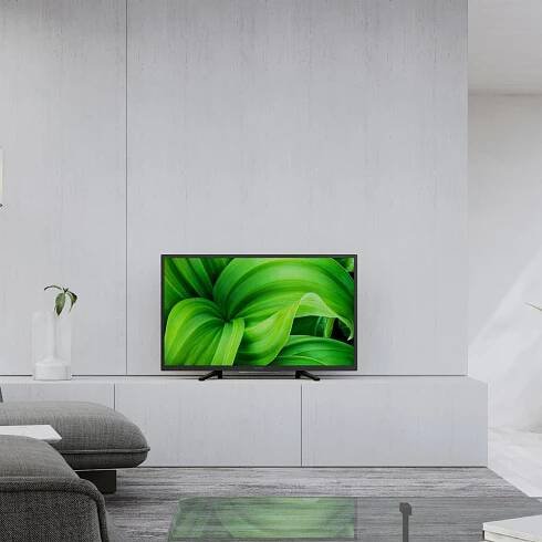 Sony 32" LED (KD32W800PAEP)