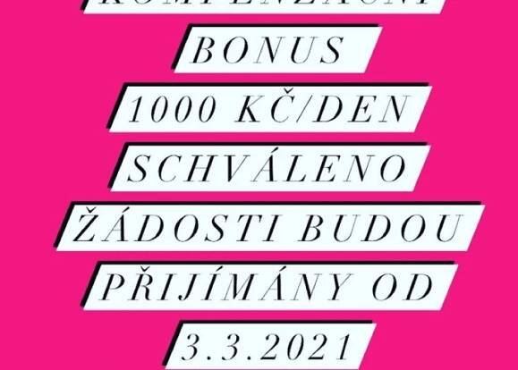 Senát ČR dnes schválil nový zákon o kompenzačním bonusu