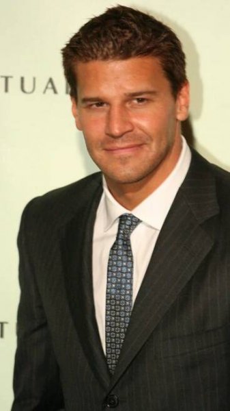 David Boreanaz (Profilová fotografie)
