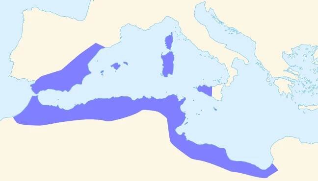 Starověké Kartágo – Wikipedie