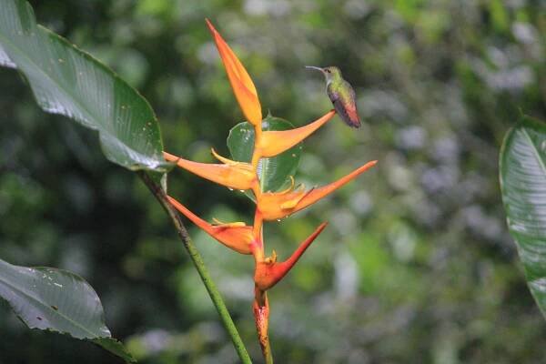 Gallery – Finca La Puebla