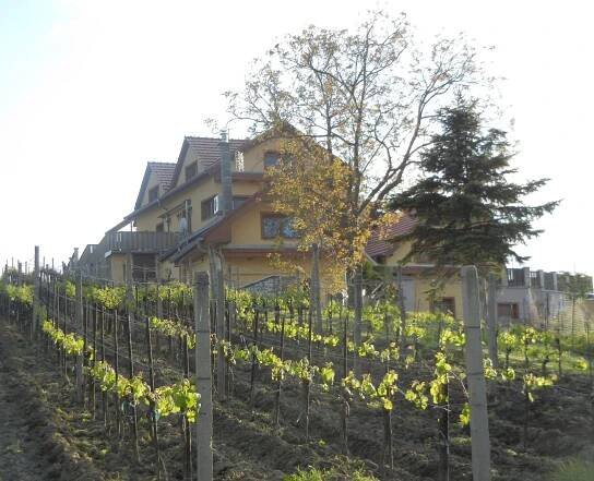 APARTMANY BAVORY PALAVA - Condominium Reviews (Czech Republic)