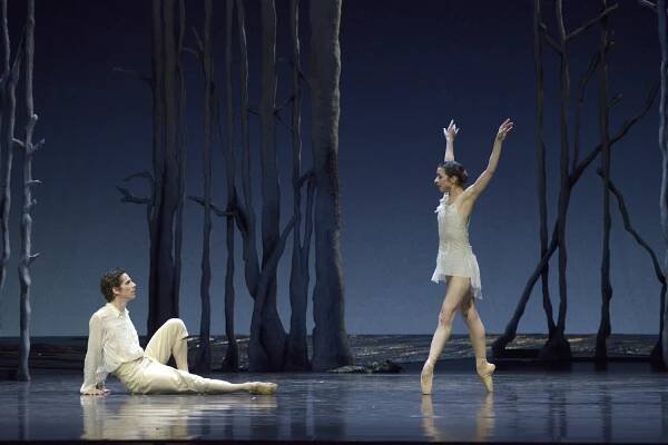 work-Swan Lake – Bridget Breiner