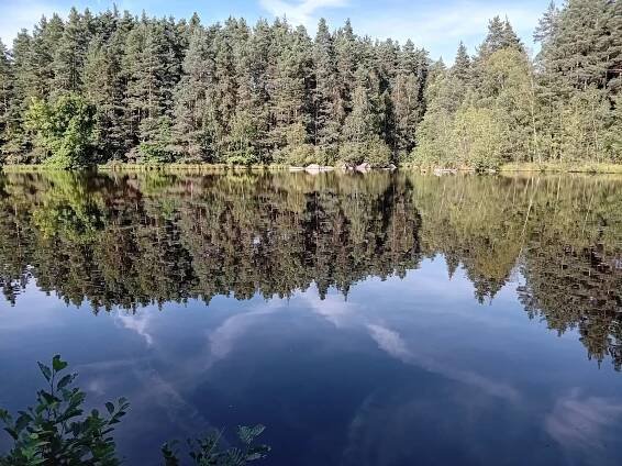 Černoušek, Čerťák a spol. Procházka kolem rybníků u Valchy potěší duši turisty