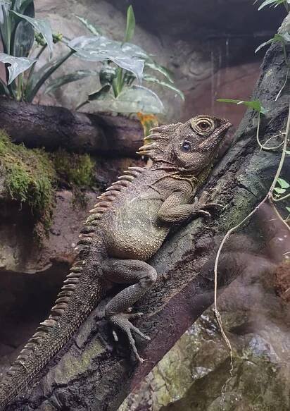 Akva Tera Zoo Plzeň (Zoo) • Mapy.com