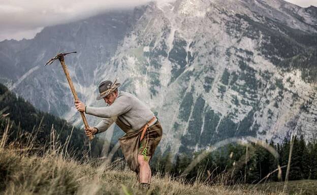 Digging for gentian roots