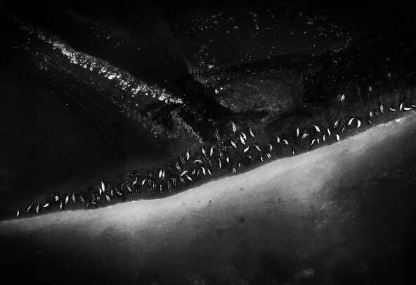 Mats Andersson FAE | zoomphototours