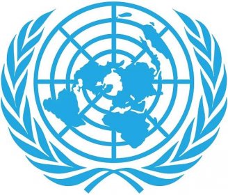 Online Consultation Form for the UN Code of Conduct for Information Integrity on Digital Platforms Survey
