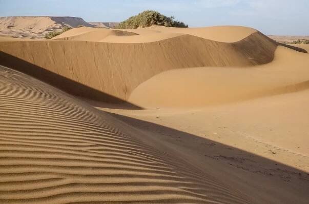Männer der Wüste - Mit Kamelhirten durch die Sahara - Z filmu