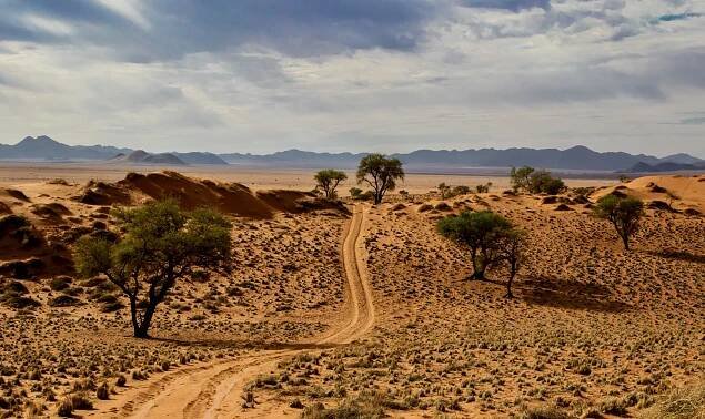 Namibie - Země písečných dun a divoké přírody | Meraki Tours