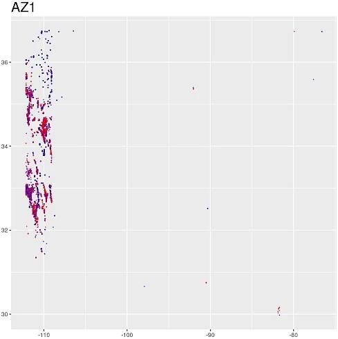 AZ1.jpeg