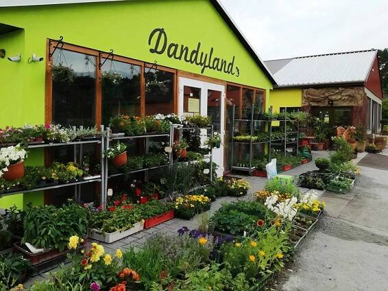 Dandyland s.r.o.