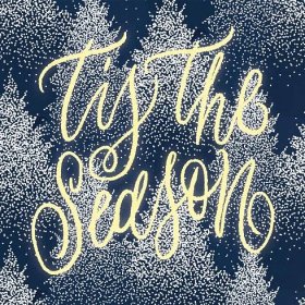 Christmas card with cursive "Tis the Season" message on blue and white background