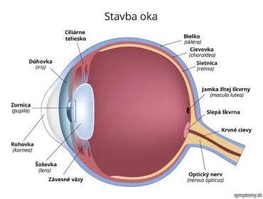 Oči - príznaky a liečba