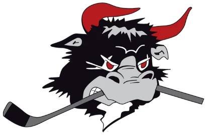 Odense Bulldogs - Odense Bulldogs