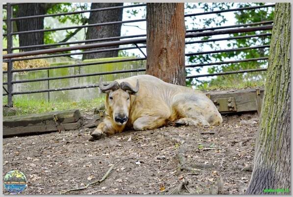 Zoopark Chomutov