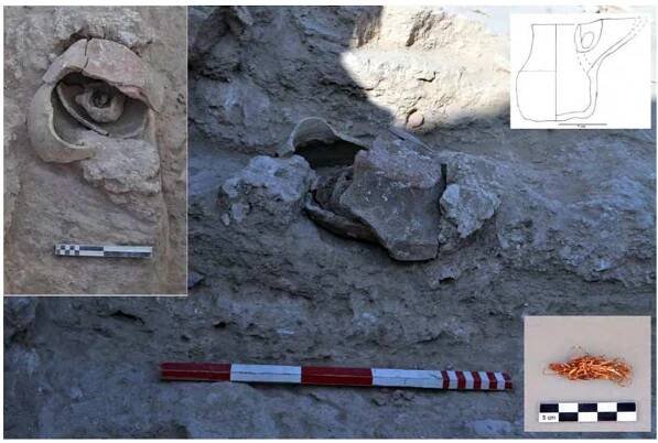 Figure 10: The setting of the small bridge- spouted jar F372, nested inside different potsherds in a small pit in Trench 7, and the gold wire it contained. (Photos M. Degli Esposti, drawing  N. Gilbert) 