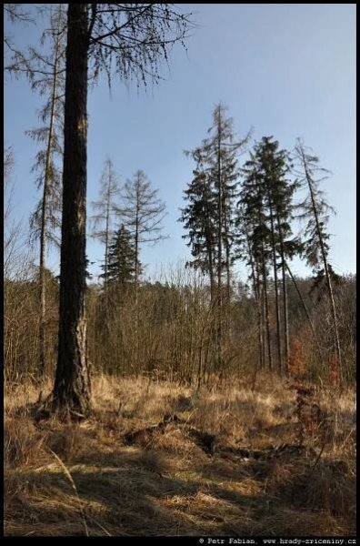 Horní Lhotice – dolní hrádek – fotografie / hrady-zriceniny.cz