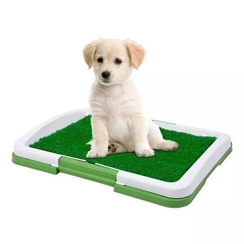 Záchod pro psy 60016 zelený 47 x 34 x 6 cm od 359 Kč