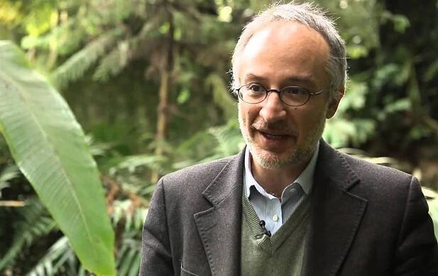 La Inteligencia Vegetal - Consciencia Arbórea