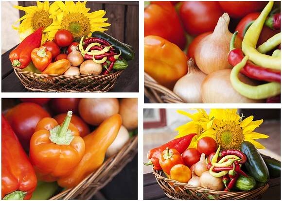 Produkty - zelenina, ovoce, byliny, semena a pecky - SEVA-FLORA s.r.o.
