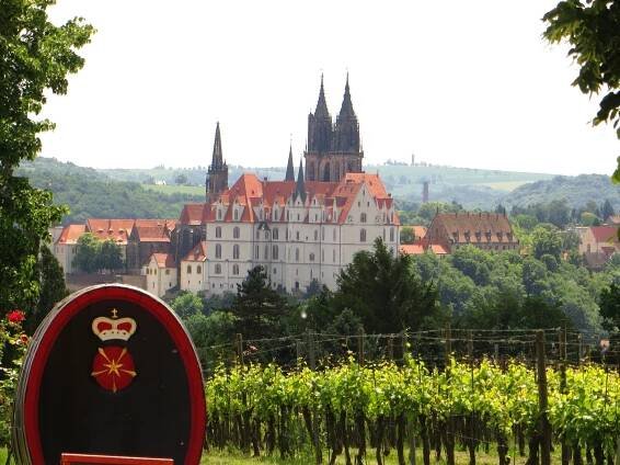 Meißen Burgberg vom Proschwitzer Weinberg (1).jpg